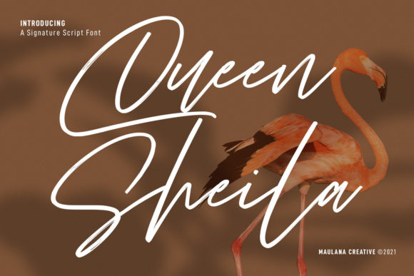 Queen Sheila: A Handwritten Font for Modern Web Design